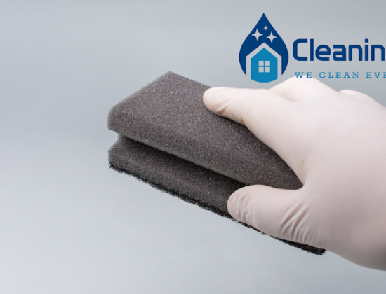 CleaningPro Auckland – House Cleaning & Flood Restoration Expert