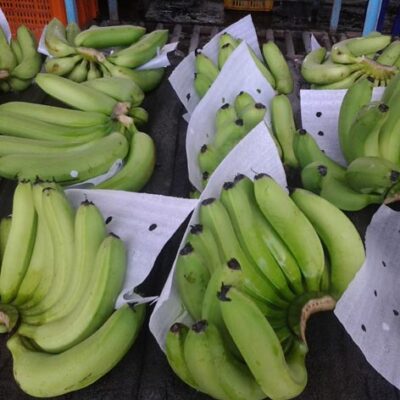 Banana Exporters from India – GEEWIN EXIM
